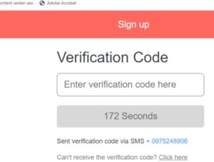 Biumoney Loans application stage 4