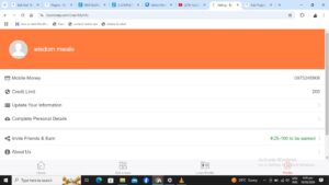 Biumoney Loans application stage 6
